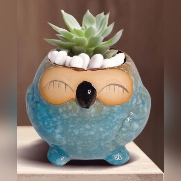 NWOT | Adorable Ceramic Owl Succulent Planter Pots | Set Of 4 | Drainage Holes - Picture 8 of 16